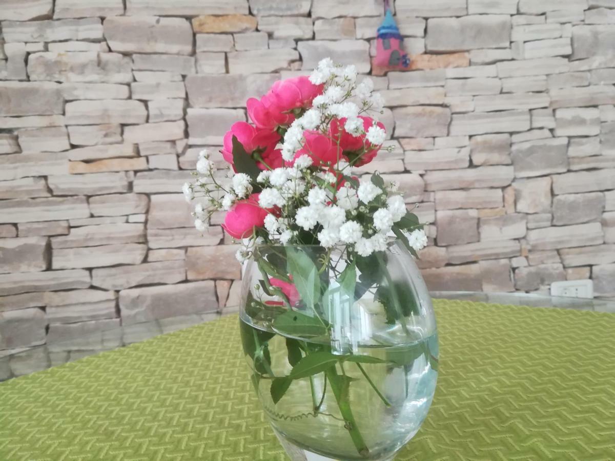 Apartma Zalka Izola Luaran gambar