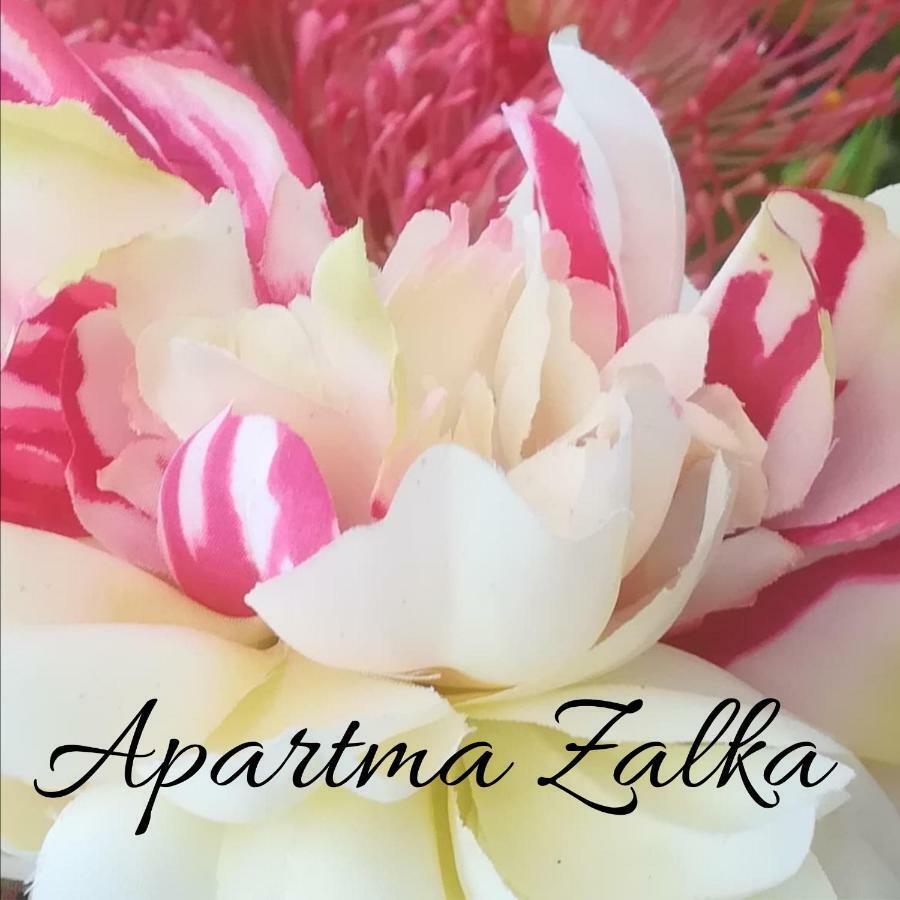 Apartma Zalka Izola Luaran gambar